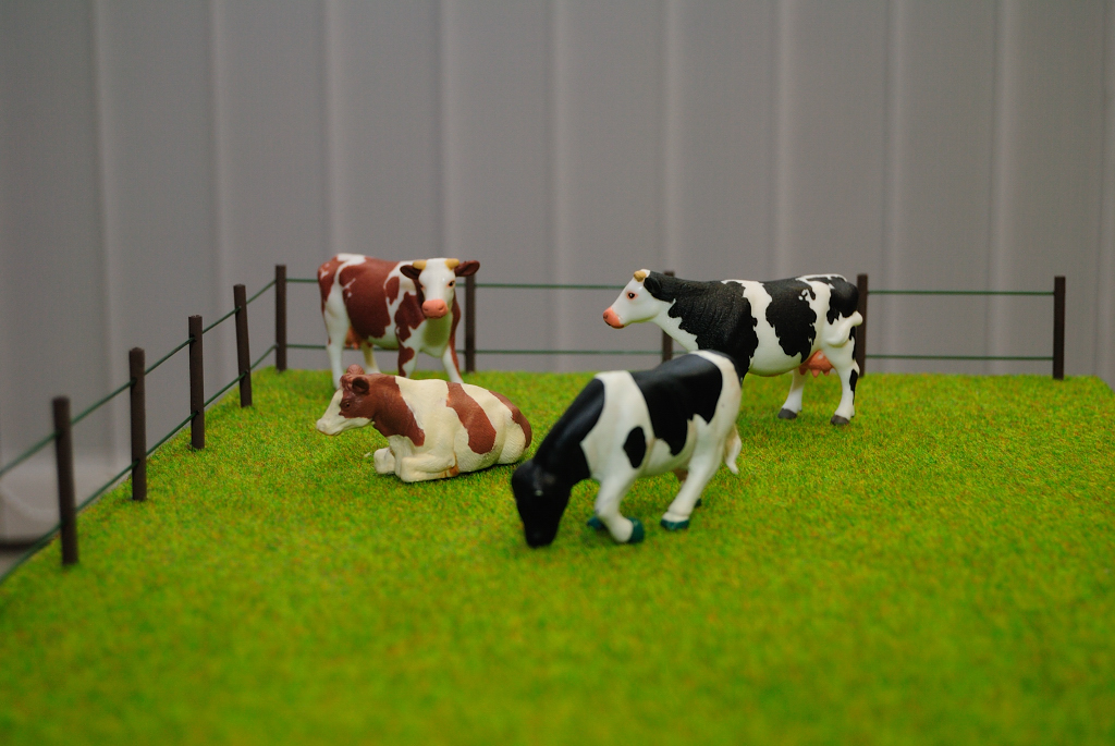 Max Agrar - Siku Bauernhof selber bauen - Grünland Wiesen und Weiden